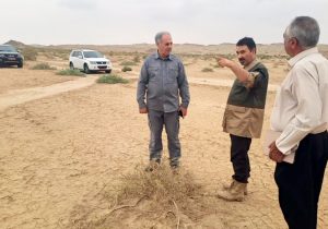 بازدید مجری طرح مردمی کاشت یک میلیارد درخت از روند اجرای طرح در مناطق بیابانی البرز