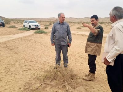 بازدید مجری طرح مردمی کاشت یک میلیارد درخت از روند اجرای طرح در مناطق بیابانی البرز
