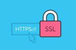 گواهینامه SSL دامنه: مفهوم، اهمیت و نحوه عملکرد