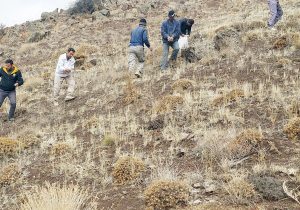 اجرای عملیات بذرپاشی در ۳۰ هکتار از مراتع روستای میر شهرستان طالقان