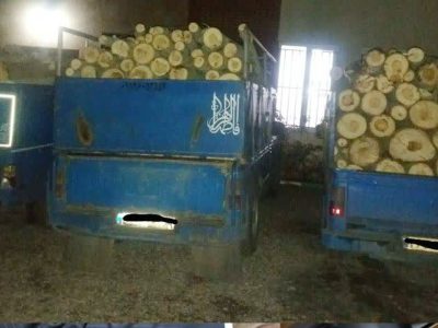 کشف و توقیف محموله چوب قاچاق در طالقان