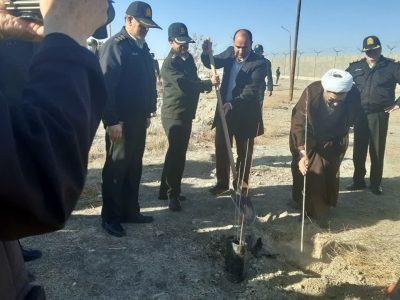 پویش هر ایرانی سه درخت با نام بزرگداشت شهدای راسک در استان البرز برگزار شد