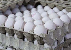 روزانه بیش از ۳ هزار تن تخم مرغ در کشور تولید می شود
