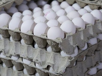 صادرات تخم مرغ به ۱۶۰ هزارتن می‌رسد