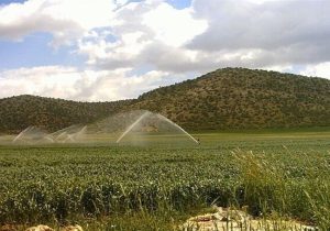 اجرای سامانه‌های نوین آبیاری، مرهمی برای بحران کمبود آب در کشور