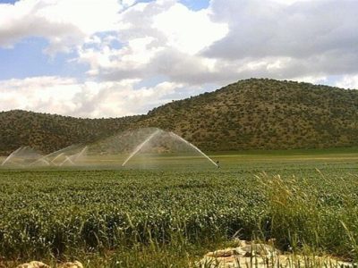 اجرای سامانه‌های نوین آبیاری، مرهمی برای بحران کمبود آب در کشور