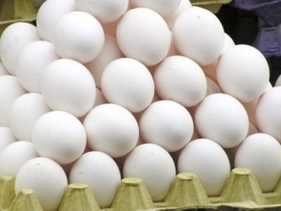 تولید تخم مرغ ۷ درصد افزایش یافت
