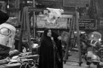 «بمبئی» از جشنواره دی‌ام‌آف جایزه گرفت