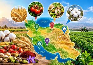 قطب&zwnj;های تولید &laquo;محصولات استراتژیک زراعی&raquo; در ایران