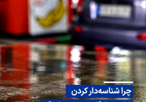 ویدیو/ چرا شناسهدار کردن کارت جایگاه ضرورت دارد؟